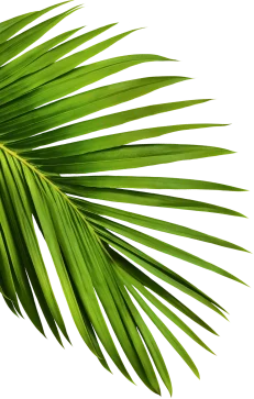 green leaf