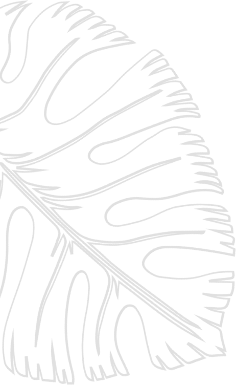 left_tree_branch
